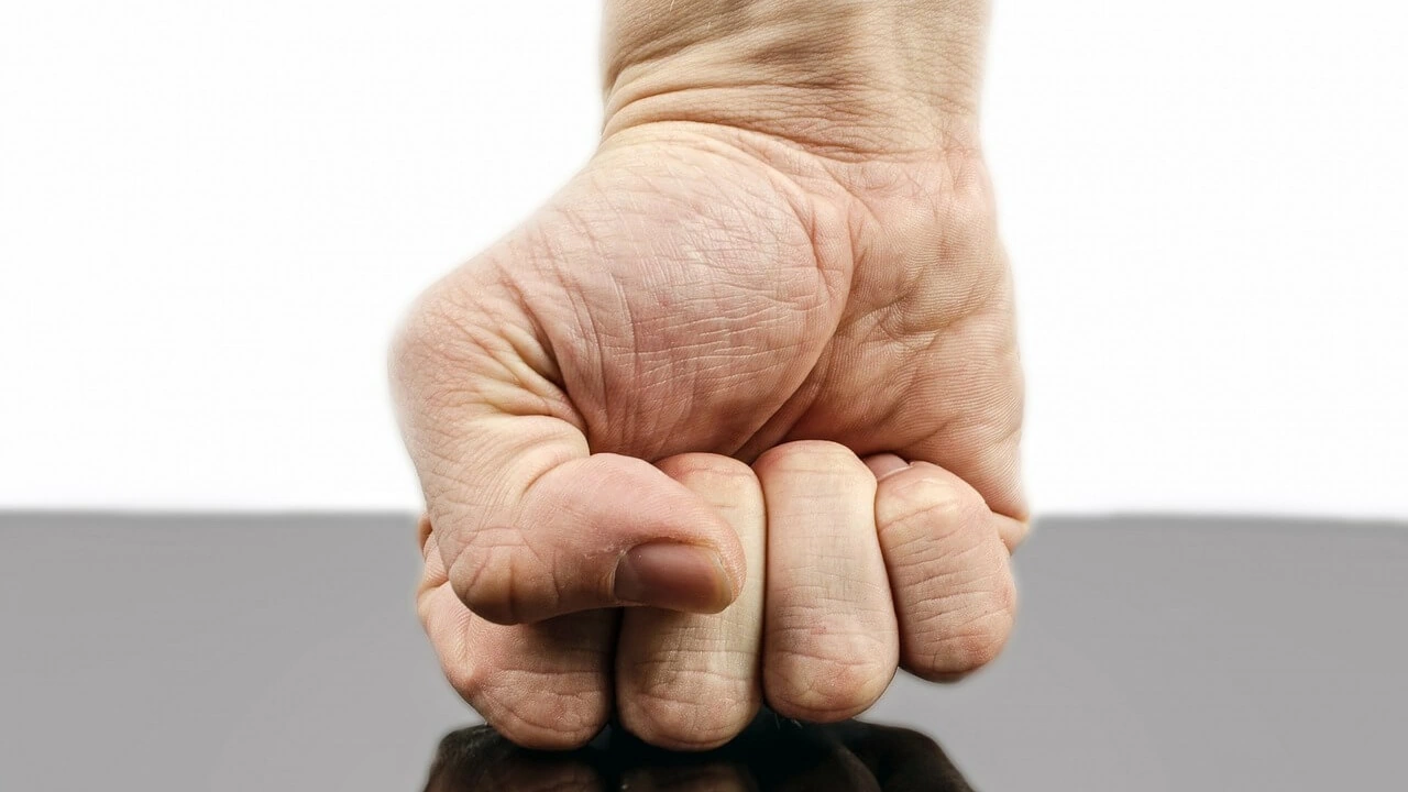 Article 03
